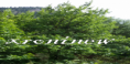 /album/ekthesi-fotografion/screenshot-07-10-2015-08-33-40-png/